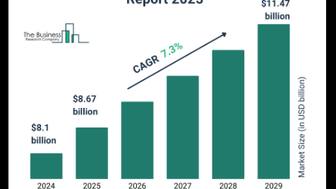 Portable Car Vacuum Cleaner Market Overview